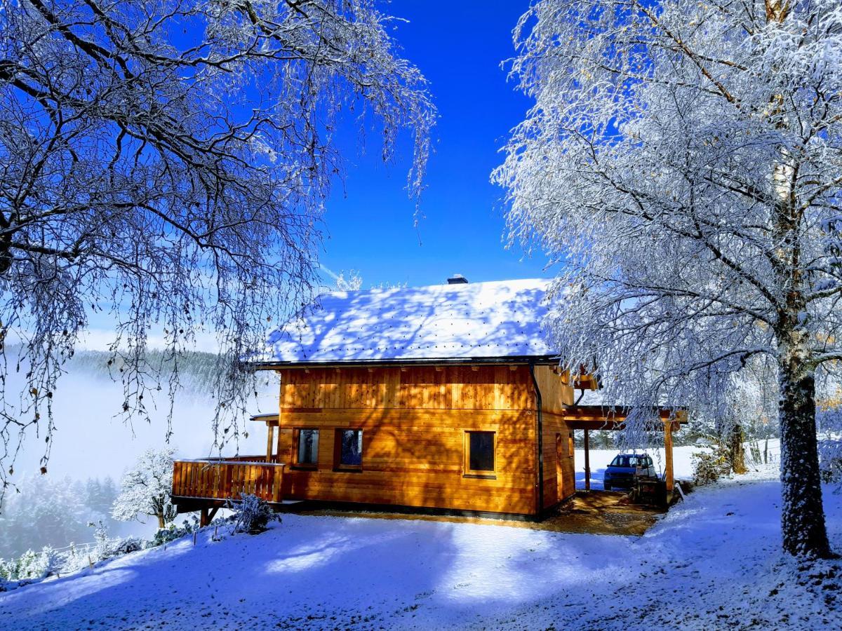 Auszeit Almhaus Schmalzbauer Daire Sankt Andrä Dış mekan fotoğraf