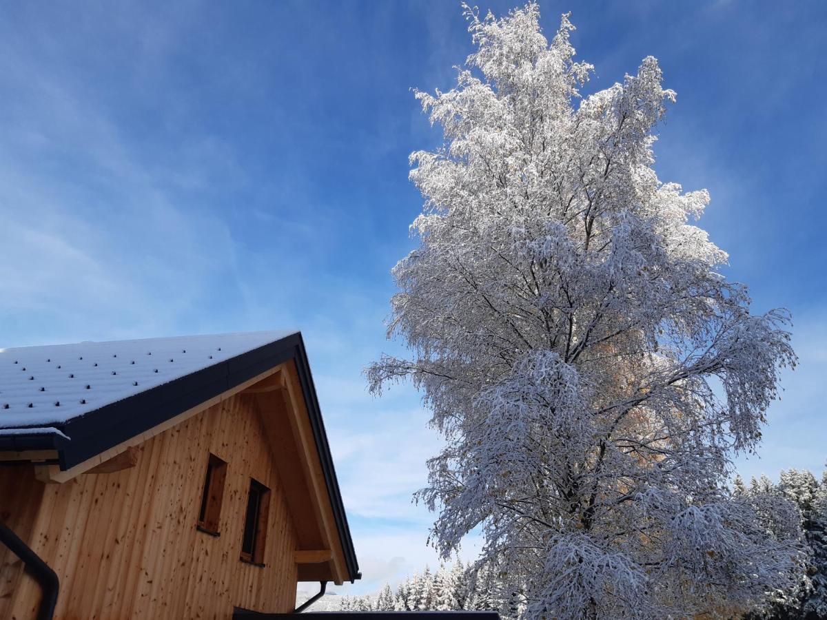 Auszeit Almhaus Schmalzbauer Daire Sankt Andrä Dış mekan fotoğraf