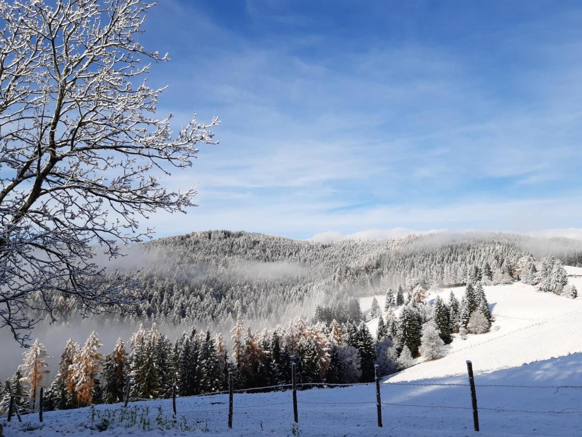 Auszeit Almhaus Schmalzbauer Daire Sankt Andrä Dış mekan fotoğraf